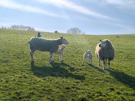 Local residents