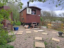 Looking at the shepherds hut