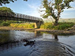 River swim