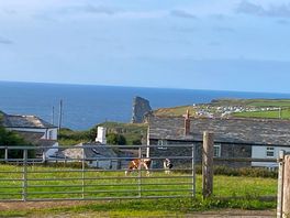 The countryside