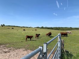 Nearby field but not too close!