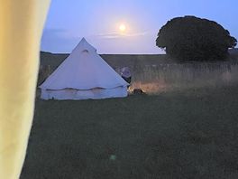 Evening view