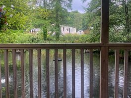 View from duck pond