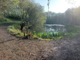 The lake