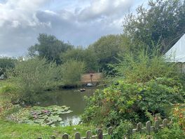 Camp lake