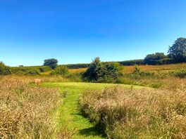 Mown pitches