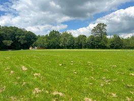 Grass pitch