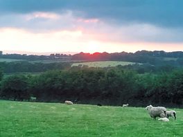 Sunset from field along the road