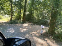 Lovely individual pitches in the woodland