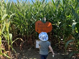 Characters to find in the maze, pumpkin patch in october