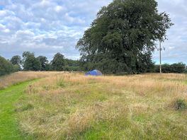 The camp field
