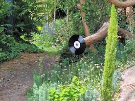 Lovely things to see on walks near to the camp cite