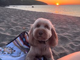 Sunset at the beach