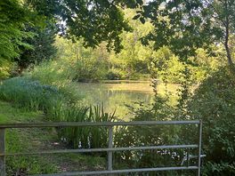 The lake