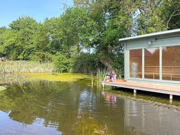 Pond dipping - june 2025