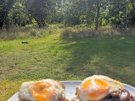 At the campsite