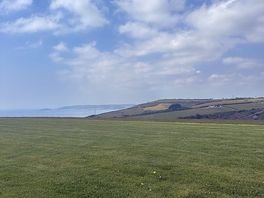 Perfect view