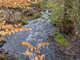 Stream at site
