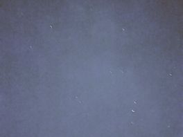 Star gazing