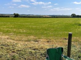 View from the site