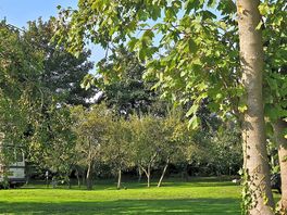 Orchard