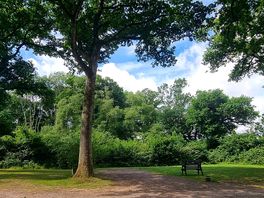 Campsite
