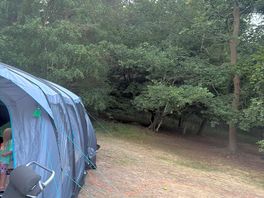 Position off tent and how close to the woods you are