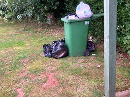 Bins not emptyed