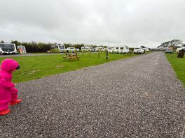 Site