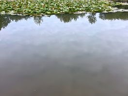 Fishing pond