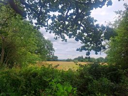 Beautiful views
