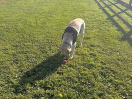 Exercise run. fenced off