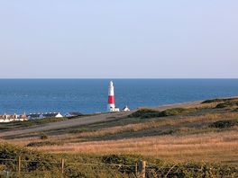 Portland bill from sweet hill farm