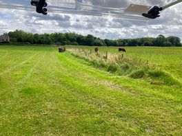 Our only neighbours!