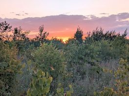 Stunning saplings, wild areas and nature trail