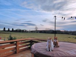 Crabmill glamping site - hut 4
