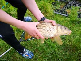 Last catch of the day!