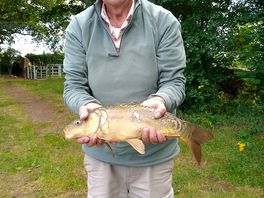 A nice mirror carp from goffs