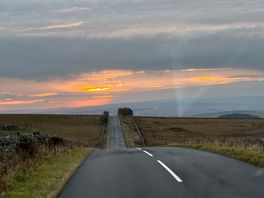 Drive through the forest