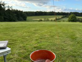 View looking down the field.
