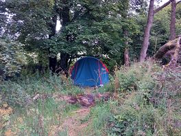 Camp