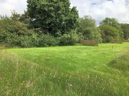 Grass pitches