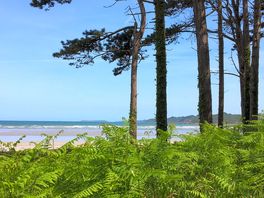 Coastal walk