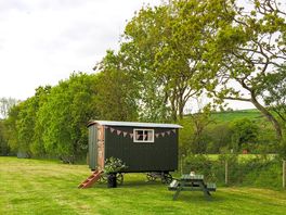 The Herdwick Hut in the paddock awaiting guests