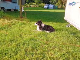 A lovely early morning siting outside the van listening to the birds singing whilst eating breakfast