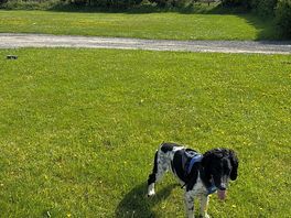 Site