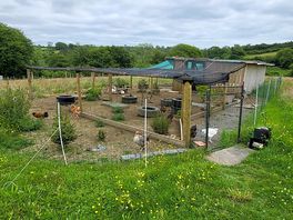 Cluckingham palace