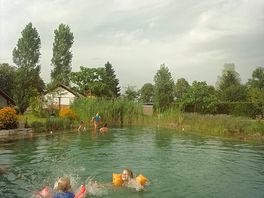 De zwemvijver