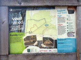 Note - great forestry commission playground in the middle of this forest