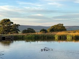 Bottom lake/pond